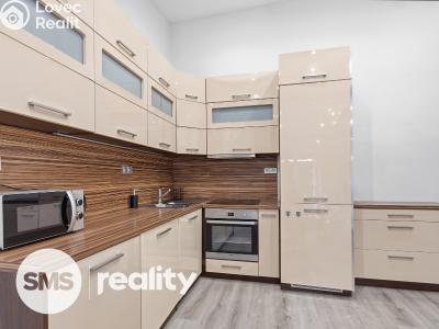 Оренда сімейного будинку Vážany nad Litavou č. 4