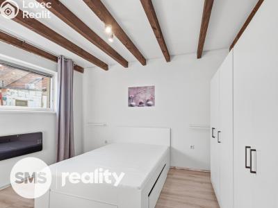 Оренда сімейного будинку Vážany nad Litavou č. 5