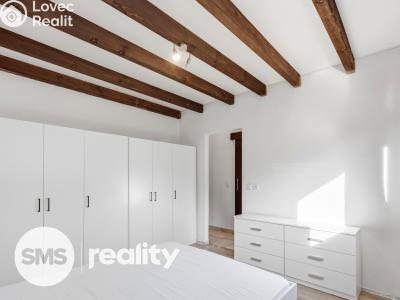 Оренда сімейного будинку Vážany nad Litavou č. 6