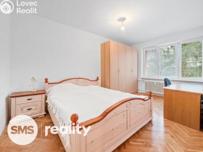 Pronájem bytu 2+1 Třebíč, Lidická č. 4