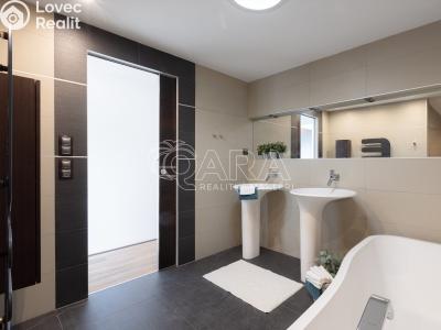 Rent apartment 4+KK Praha, Bělocerkevská č. 18