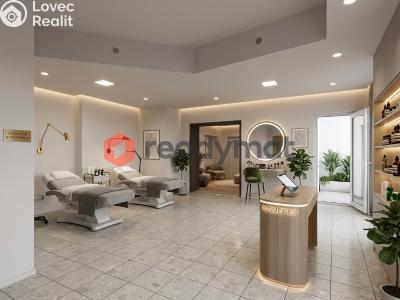 Rent commercial space Hodonín, Rodinova č. 1