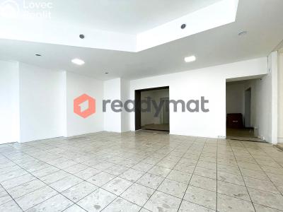 Rent commercial space Hodonín, Rodinova č. 2