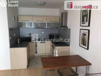 Pronájem bytu 2+KK Praha-Suchdol, Holubí č. 1