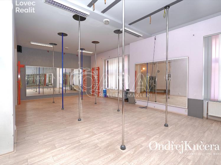 Продаж багатоквартирного будинку Kladno, Osvoboz. pol. vězňů 341 č. 25