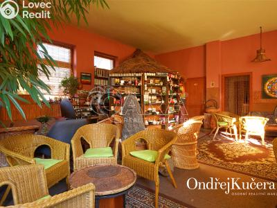 Продаж багатоквартирного будинку Kladno, Osvoboz. pol. vězňů 341 č. 3