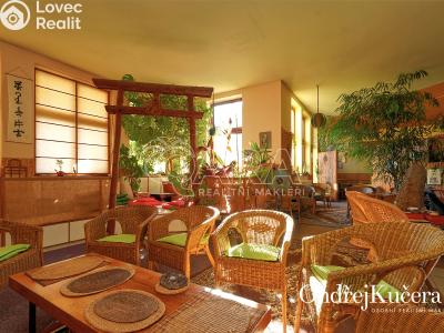 Sale apartment building Kladno, Osvoboz. pol. vězňů 341 č. 2