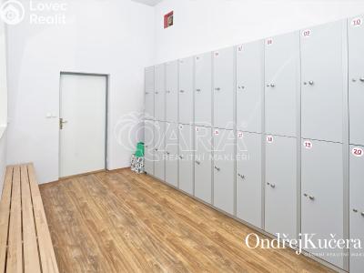Продаж багатоквартирного будинку Kladno, Osvoboz. pol. vězňů 341 č. 27