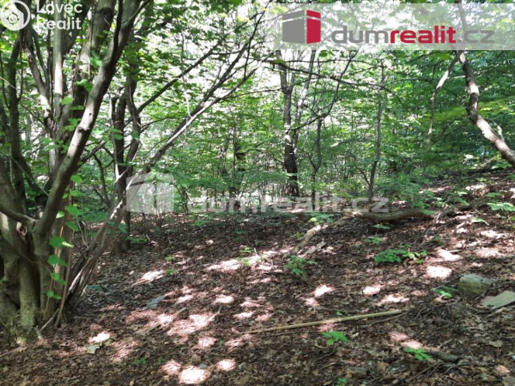 Prodej rodinného domu Liberec, Pod Skalkou č. 12