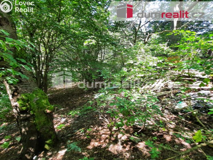 Prodej rodinného domu Liberec, Pod Skalkou č. 23