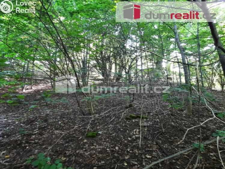 Prodej rodinného domu Liberec, Pod Skalkou č. 27