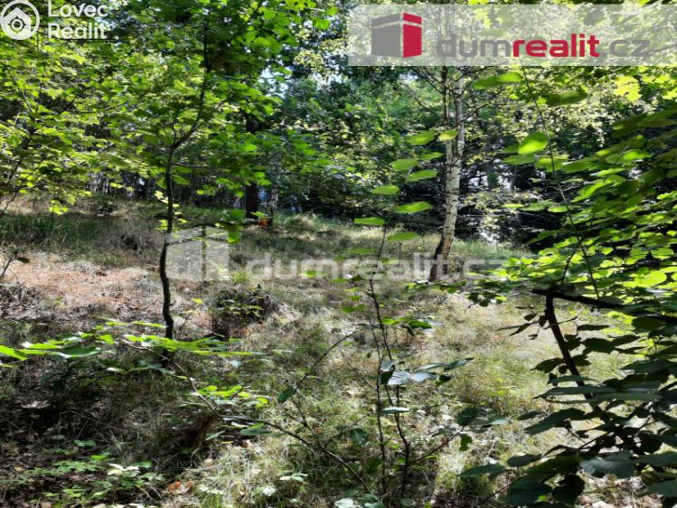 Prodej rodinného domu Liberec, Pod Skalkou č. 29