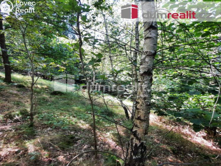 Prodej rodinného domu Liberec, Pod Skalkou č. 31