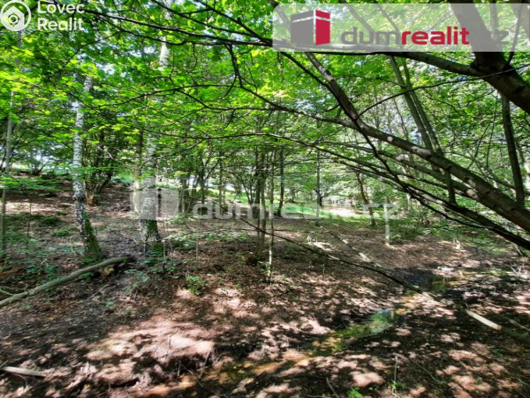 Prodej rodinného domu Liberec, Pod Skalkou č. 33