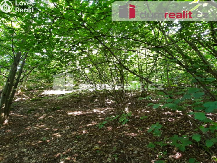 Prodej rodinného domu Liberec, Pod Skalkou č. 35