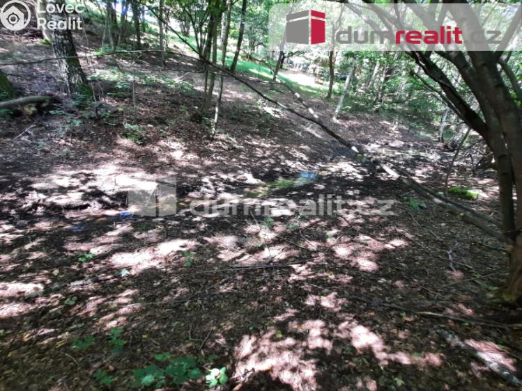 Prodej rodinného domu Liberec, Pod Skalkou č. 37