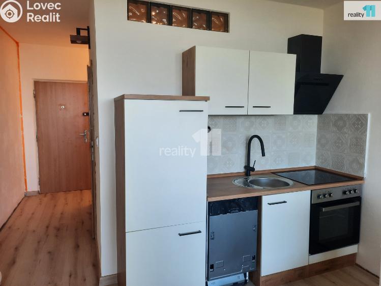 Pronájem bytu 1+KK Nový Bor, Svojsíkova č. 2