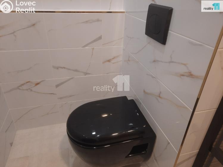 Pronájem bytu 1+KK Nový Bor, Svojsíkova č. 28