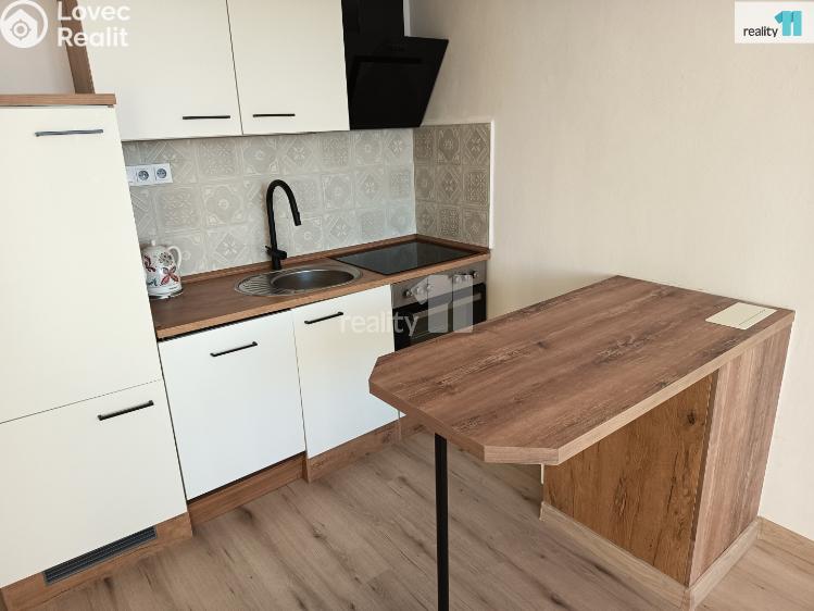 Pronájem bytu 1+KK Nový Bor, Svojsíkova č. 47