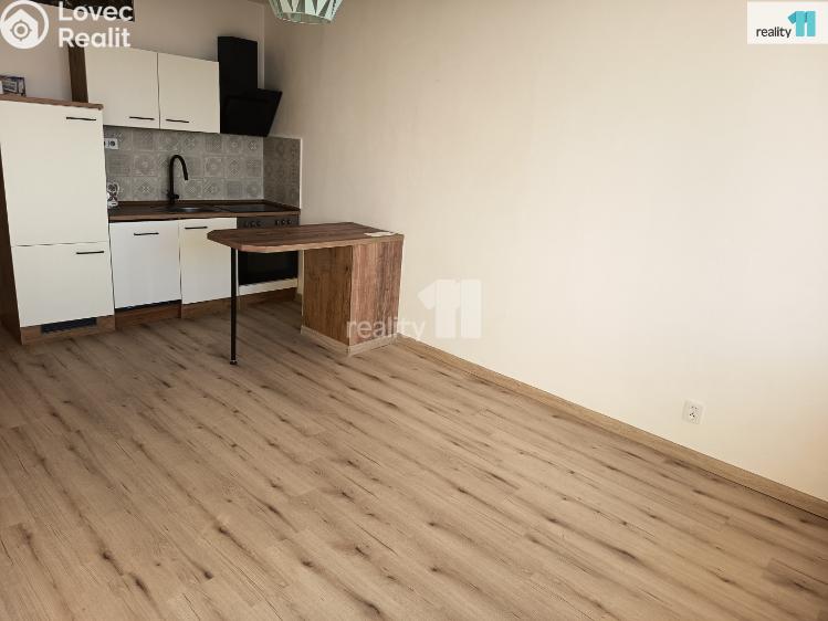 Pronájem bytu 1+KK Nový Bor, Svojsíkova č. 49