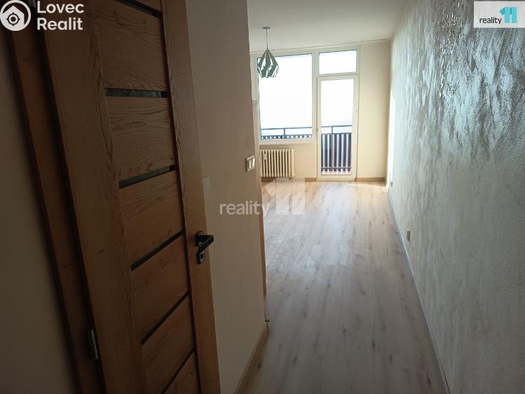 Pronájem bytu 1+KK Nový Bor, Svojsíkova č. 55