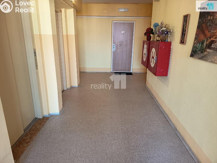 Pronájem bytu 1+KK Nový Bor, Svojsíkova č. 56