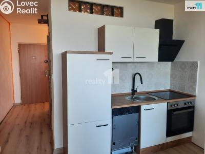 Pronájem bytu 1+KK Nový Bor, Svojsíkova č. 2