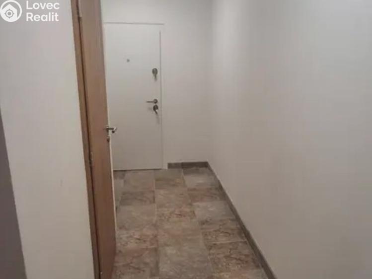 Pronájem bytu 1+KK Praha, Mezi školami č. 4