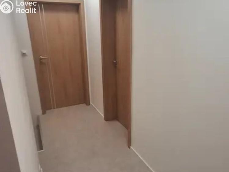 Pronájem bytu 1+KK Praha, Mezi školami č. 5