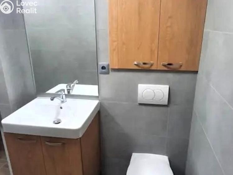 Pronájem bytu 1+KK Praha, Mezi školami č. 10