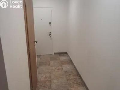 Pronájem bytu 1+KK Praha, Mezi školami č. 4