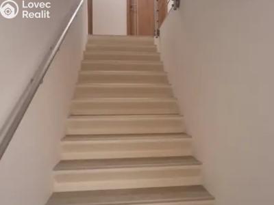 Pronájem bytu 1+KK Praha, Mezi školami č. 6