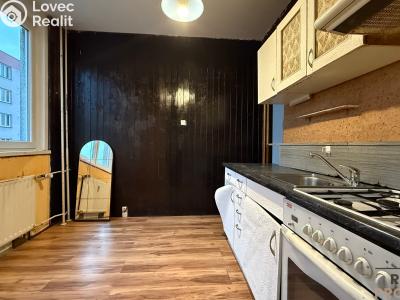 Prodej bytu 3+1 Havířov, Odlehlá č. 2