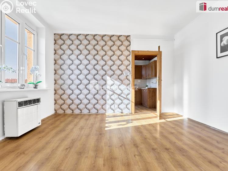 Prodej bytu 4+1 Karlovy Vary, Rohová č. 23