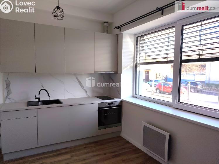 Pronájem bytu 1+KK Děčín, Zelená č. 1