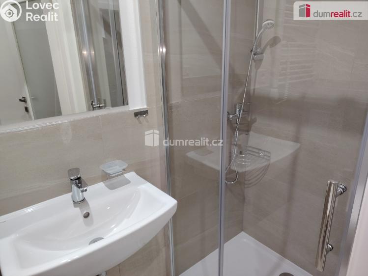 Pronájem bytu 1+KK Děčín, Zelená č. 4