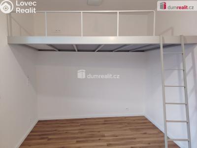 Pronájem bytu 1+KK Děčín, Zelená č. 3