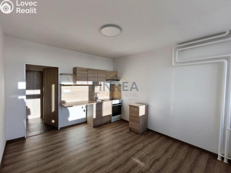 Rent apartment 1+KK Chomutov, Seifertova č. 1