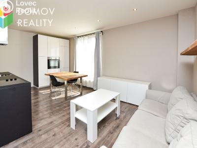 Pronájem bytu 1+KK Beroun, V Hlinkách č. 2