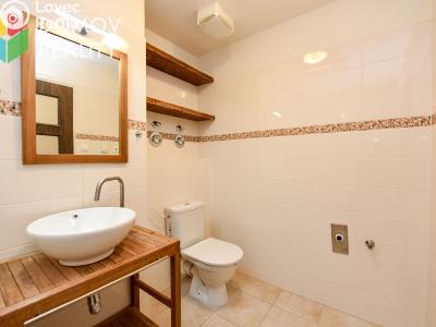 Pronájem bytu 1+KK Beroun, V Hlinkách č. 5