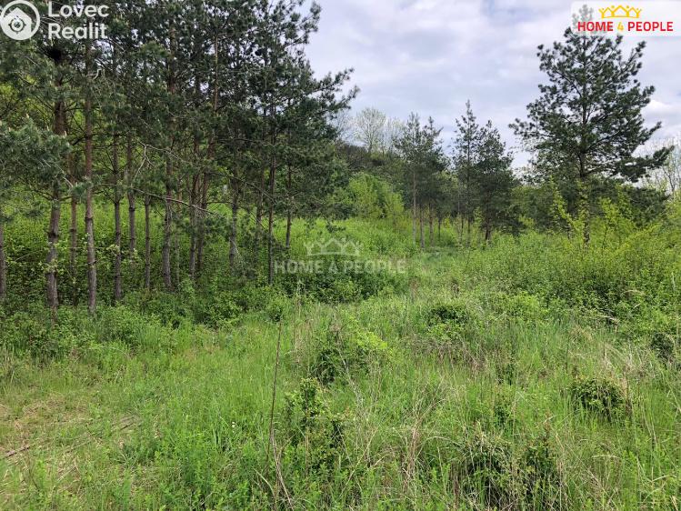 Prodej výrobní haly Všetaty, Mělnická č. 12