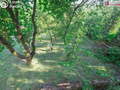 Оренда хатини Libušín, Pod Haldou 23 č. 6