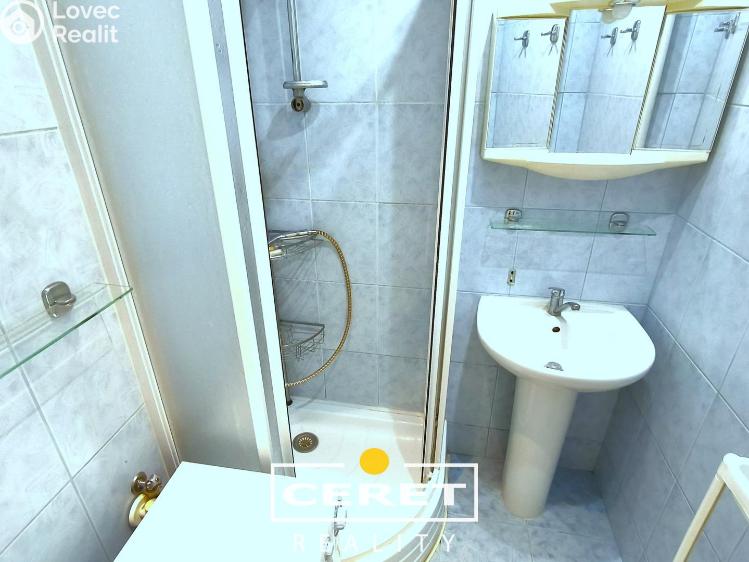 Prodej bytu 2+1 Žatec, Hájkova č. 1