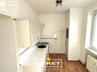 Prodej bytu 2+1 Žatec, Hájkova č. 3