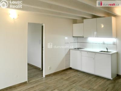 Pronájem bytu 1+1 Břeclav, Národních hrdinů č. 1