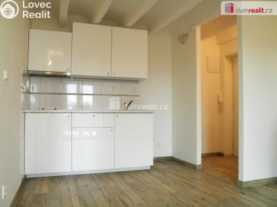 Pronájem bytu 1+1 Břeclav, Národních hrdinů č. 4