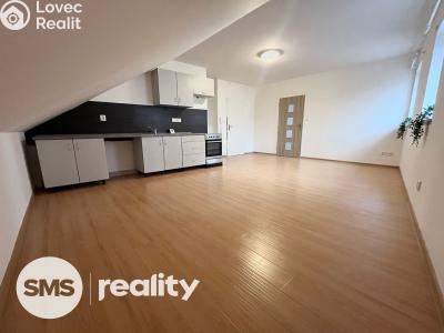 Rent apartment 2+KK Vítkov, Vodní č. 1