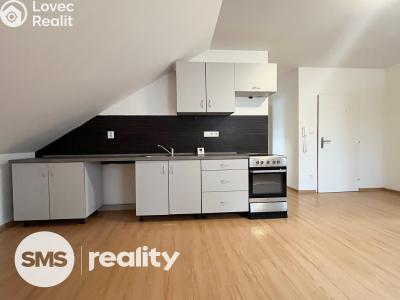 Rent apartment 2+KK Vítkov, Vodní č. 2