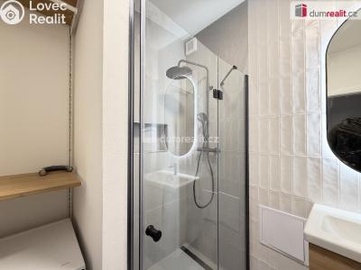 Pronájem bytu 2+KK Ústí nad Labem, Resslova č. 4