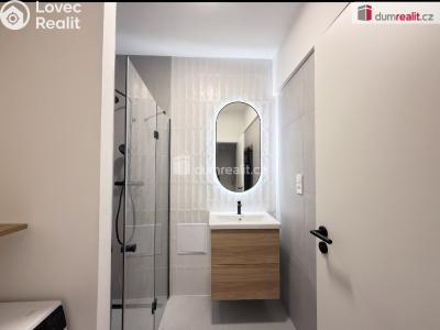 Pronájem bytu 2+KK Ústí nad Labem, Resslova č. 5